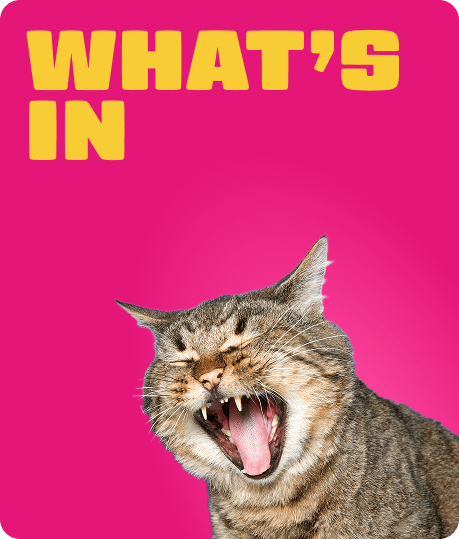 9lives-whats-in