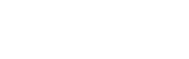 9Lives Logo