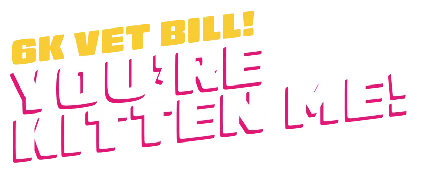 youre-kitten-me-text