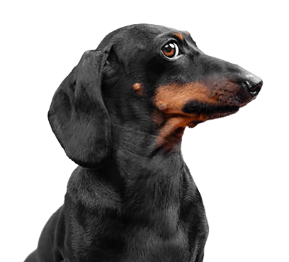 gettyimages-2095115871-612x612 1