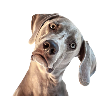 gettyimages-509119713-612x612 3